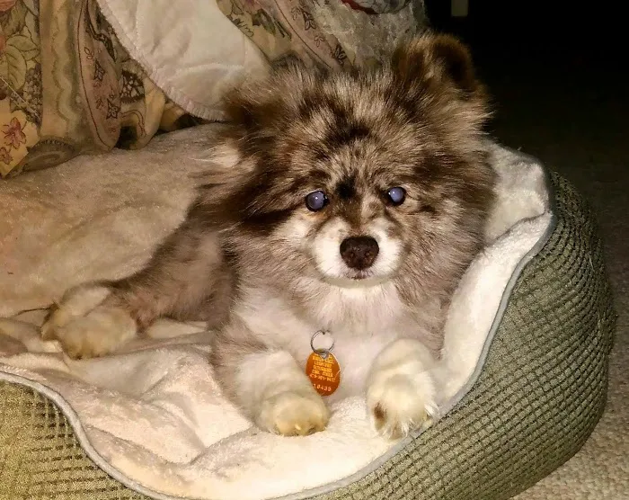 Lunsford Veterinary Care Center 6