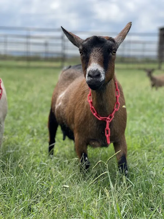 Lunsford Veterinary Care Center 10
