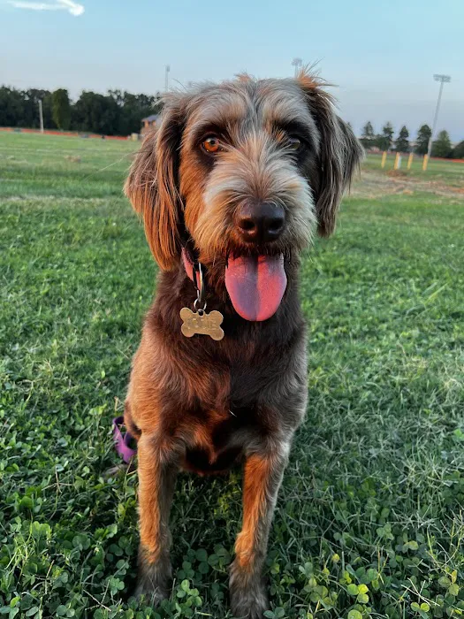 Lunsford Veterinary Services: Lunsford Michael DVM 4