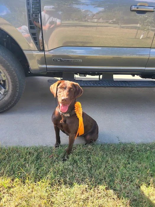 Lunsford Veterinary Services: Lunsford Michael DVM 3