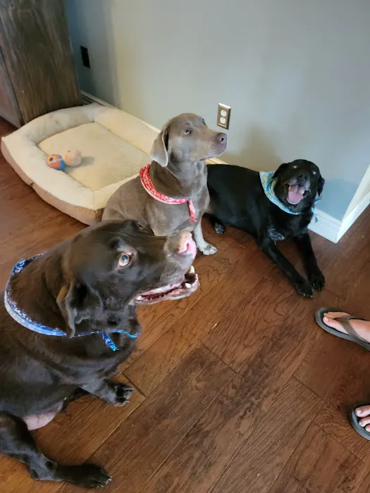 Cave Springs Veterinary Services 4