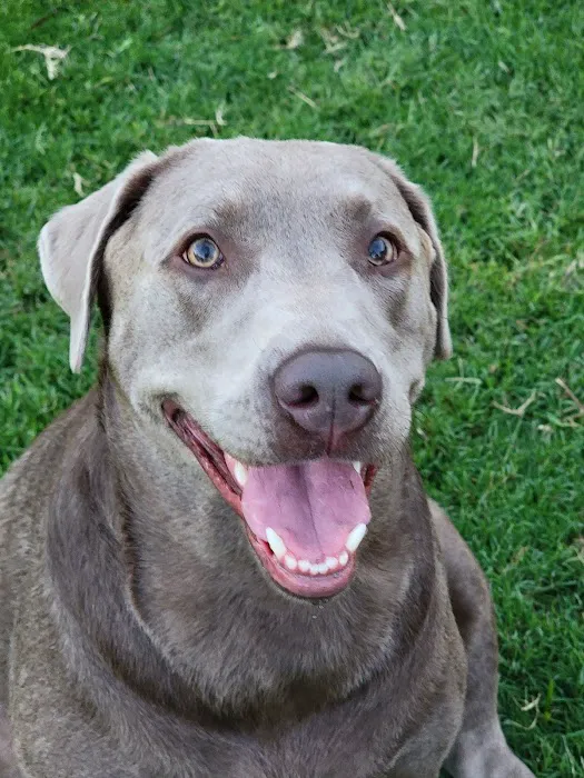 Cave Springs Veterinary Services 5