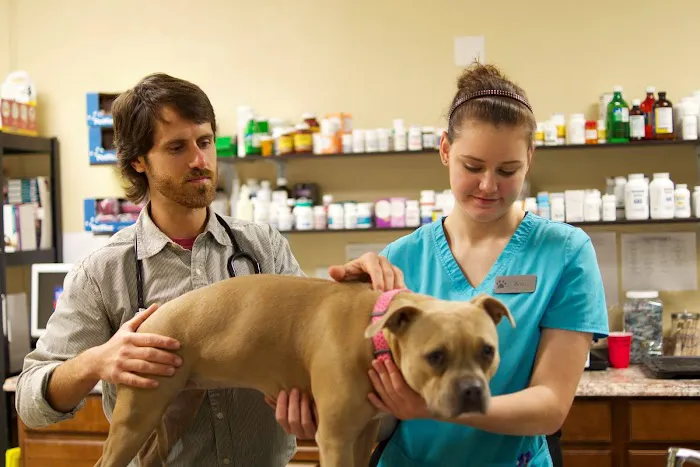 Hancock Veterinary Services 3