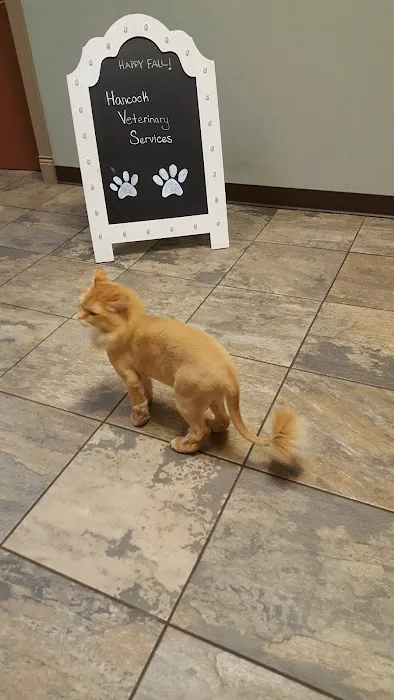 Hancock Veterinary Services 1