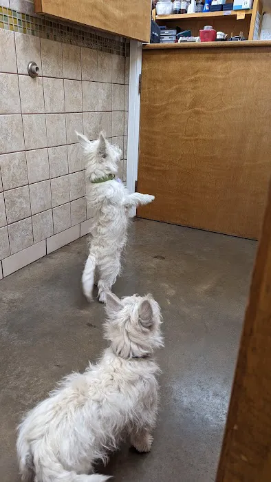 Faithful Friends Animal Clinic 2