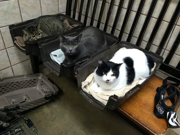 Faithful Friends Animal Clinic 8
