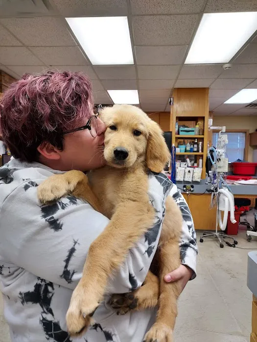 New Hope Animal Hospital 2
