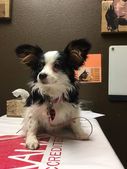 New Hope Animal Hospital 7