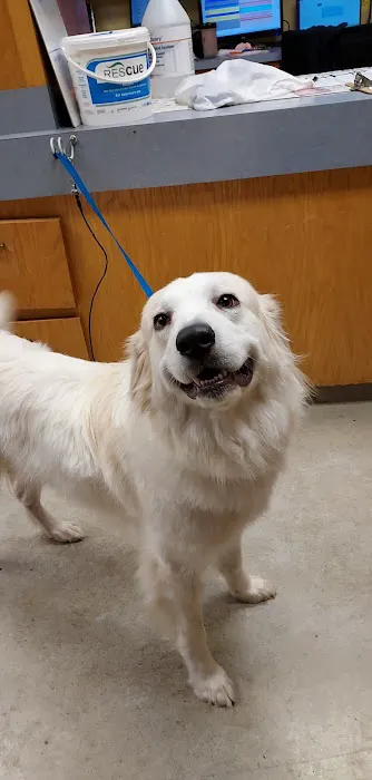 New Hope Animal Hospital 8