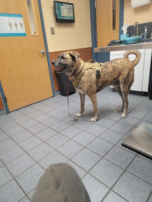 Prairie Creek Veterinary Hospital 2