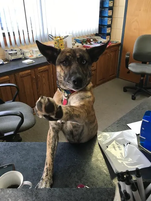Prairie Creek Veterinary Hospital 5