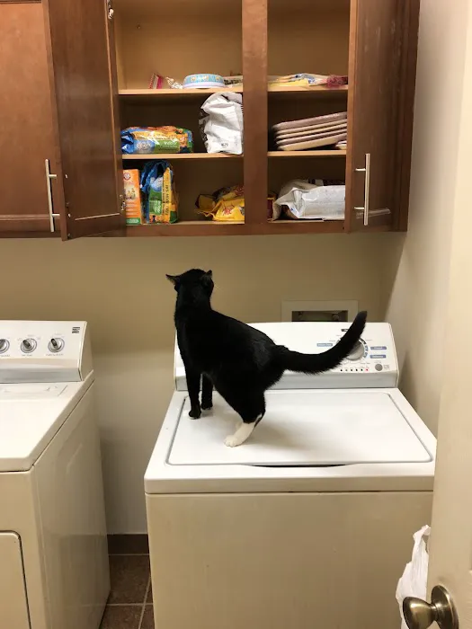 West Kentucky Veterinary Hospital (Formerly Westuck) 4