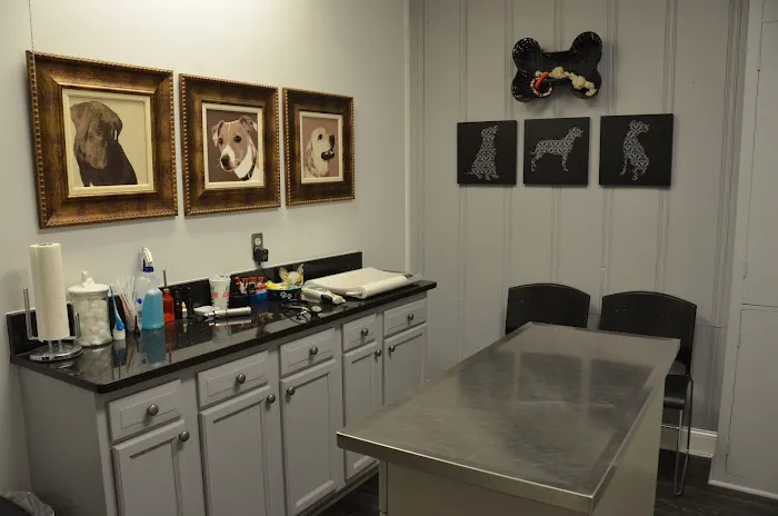 Mansfield Animal Hospital 1