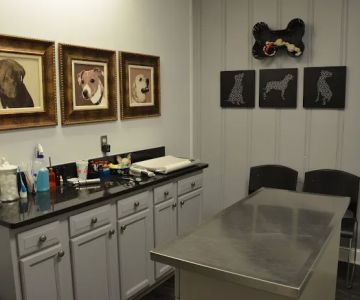 Mansfield Animal Hospital