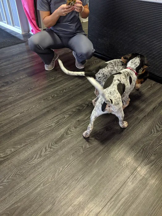 Mansfield Animal Hospital 10