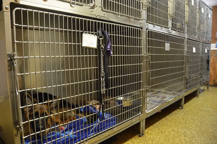 Mansfield Animal Hospital 4