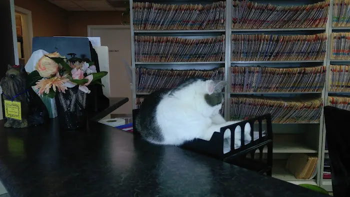 Skyline Animal Clinic 10