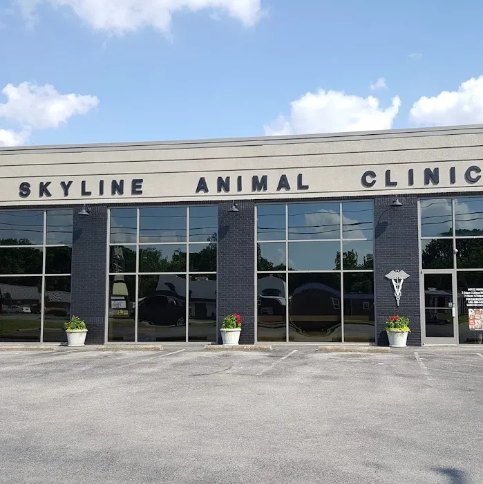 Skyline Animal Clinic 6