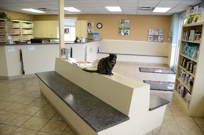 Skyline Animal Clinic 3