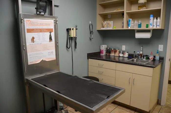 Skyline Animal Clinic 7