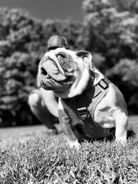 Heritage Animal Hospital 2