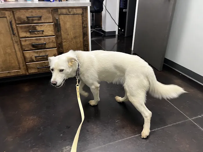 Heritage Animal Hospital 3