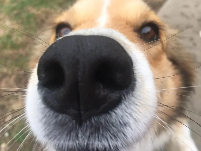 Heritage Animal Hospital 8