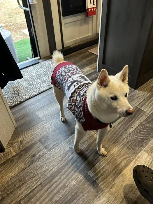 Crossroads Veterinary Hospital 6