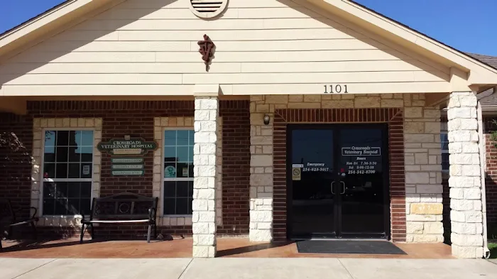 Crossroads Veterinary Hospital 9