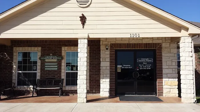 Crossroads Veterinary Hospital 10