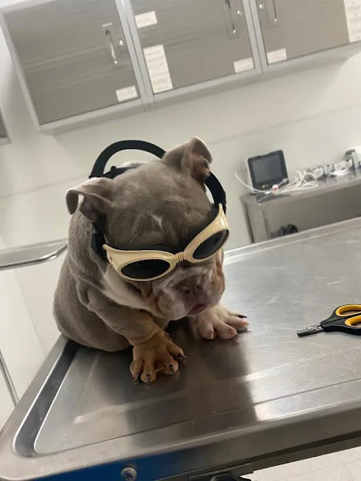 Mission Animal Hospital 7