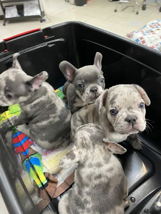 Mission Animal Hospital 2