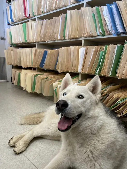 Mission Animal Hospital 3