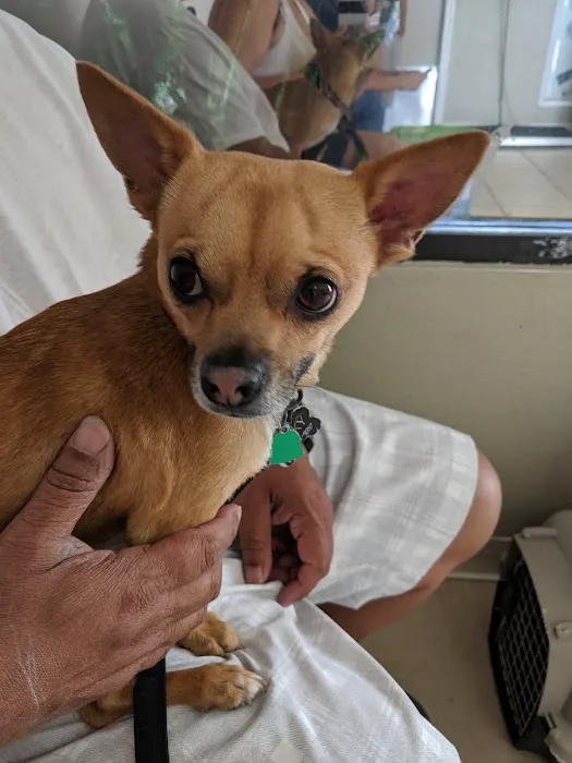 Mission Animal Hospital 10