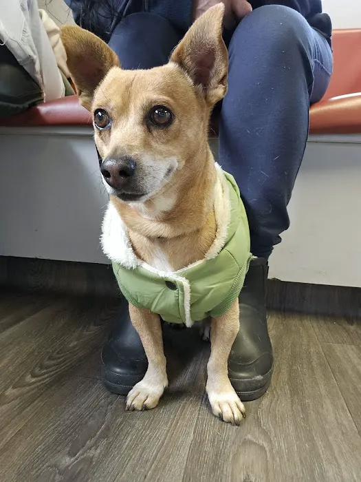 Palmdale Veterinary Hospital 3