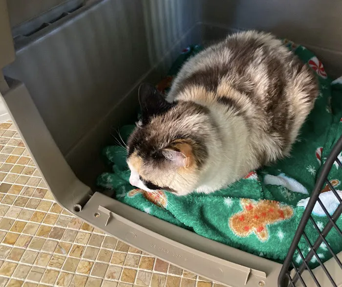 Palmdale Veterinary Hospital 4