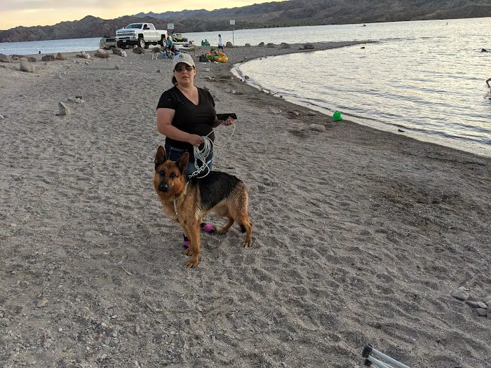 Animal Medical Center of The Antelope Valley 7
