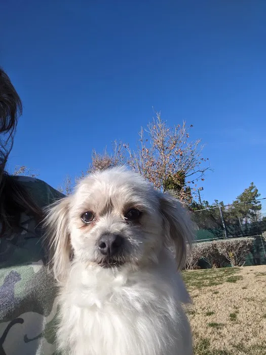 Animal Medical Center of The Antelope Valley 4
