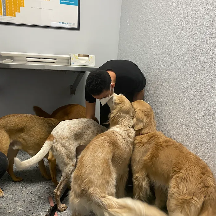 Animal Medical Center of The Antelope Valley 10