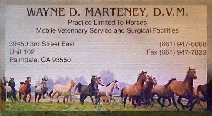 Marteney Wayne DVM 1