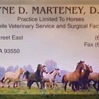 Marteney Wayne DVM ico