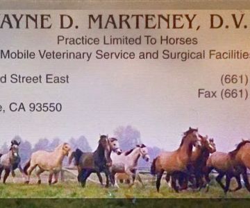 Marteney Wayne DVM