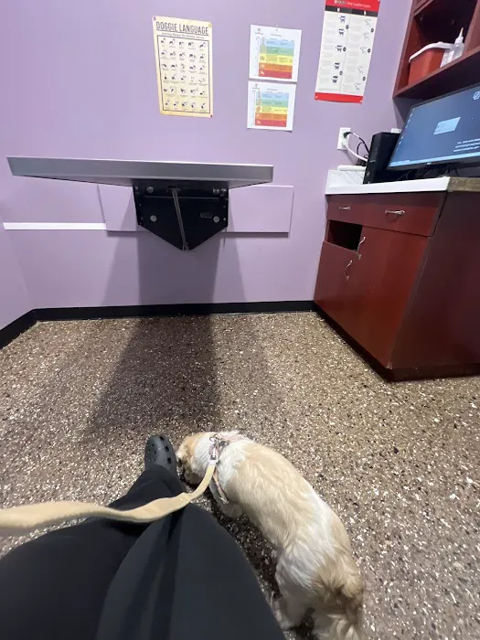 Pet Check Engine Animal Hospital 5