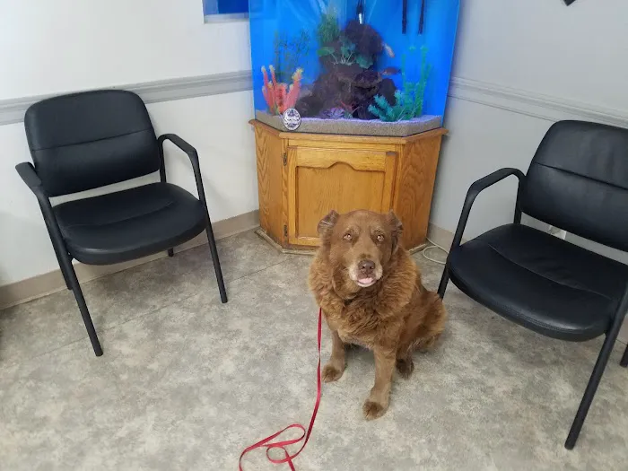 Antelope Valley Animal Hospital 10
