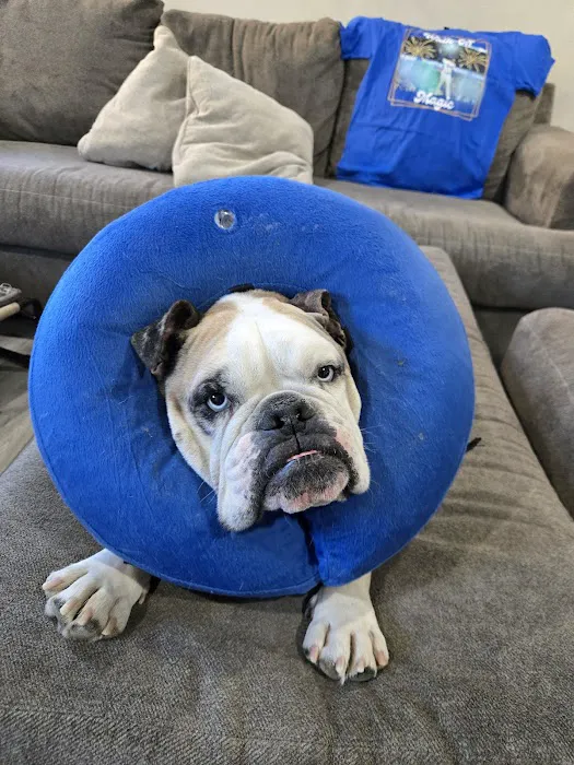 Antelope Valley Animal Hospital 8