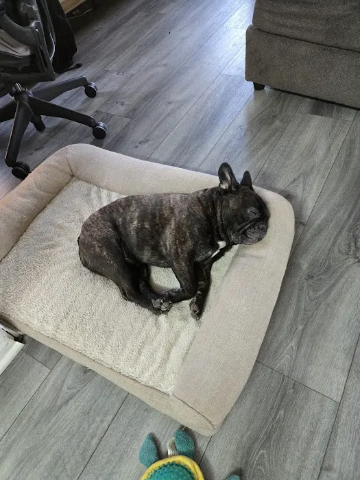 Antelope Valley Animal Hospital 9