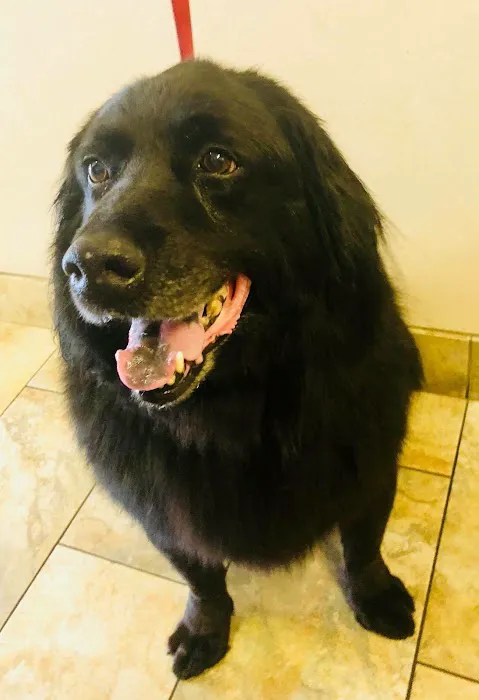 AV Veterinary Center 6