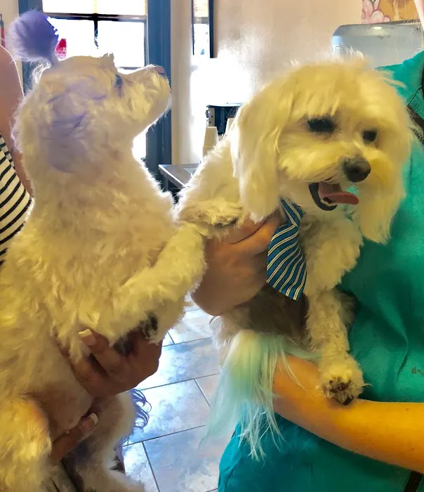 AV Veterinary Center 2