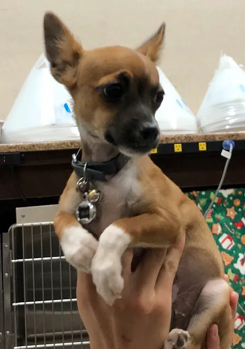 AV Veterinary Center 9