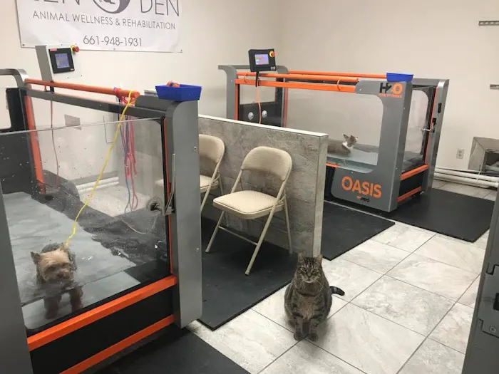 Zen Den Animal Wellness & Rehabilitation 10